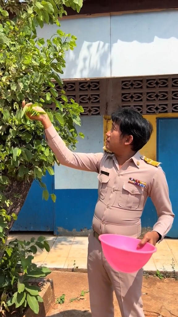 ครูรีวิวผักในโรงเรียน