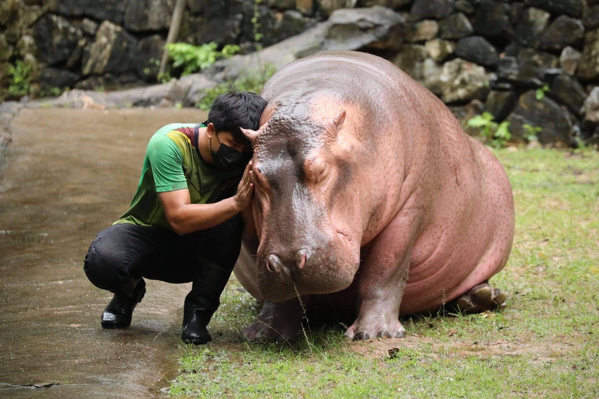 เบนซ์ อรรถพล