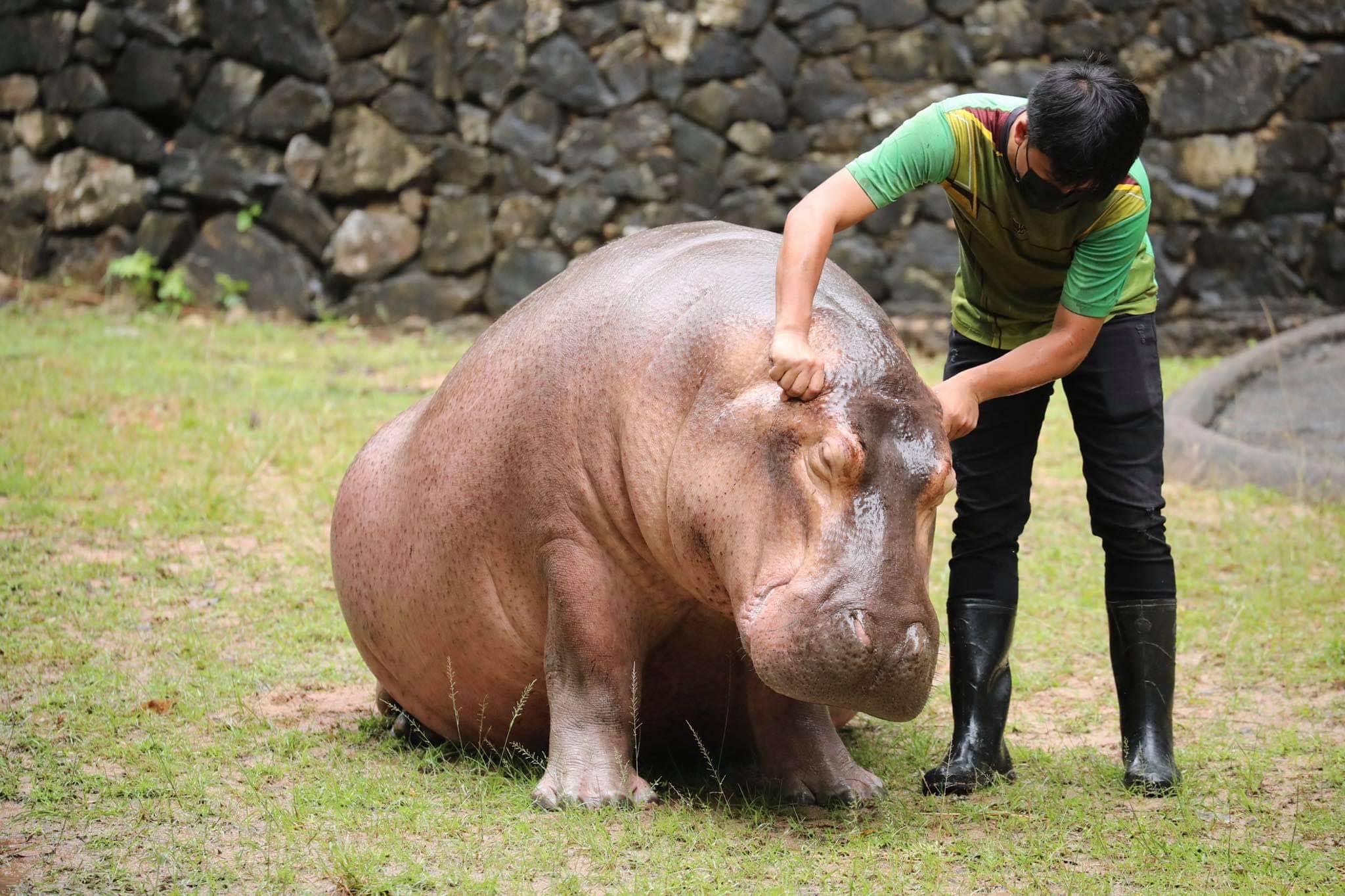 เบนซ์ อรรถพล