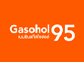Gasohol 95 S EVO