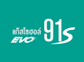 Gasohol 91 S EVO