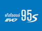 Gasohol 95 S EVO