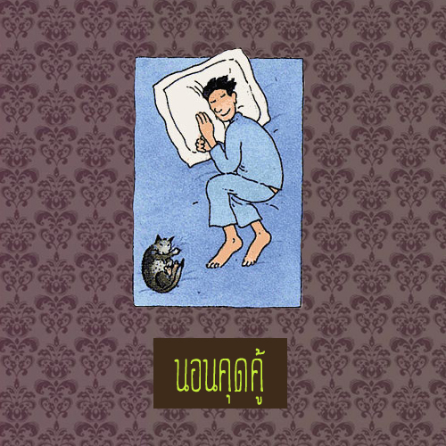 นอนคุดคู้