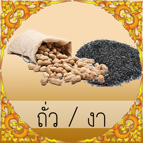 ถั่ว / งา
