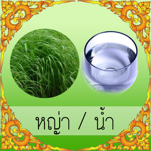 หญ่า / น้ำ 