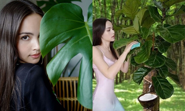 ชาวเน็ตเอาฮา แต่งภาพ