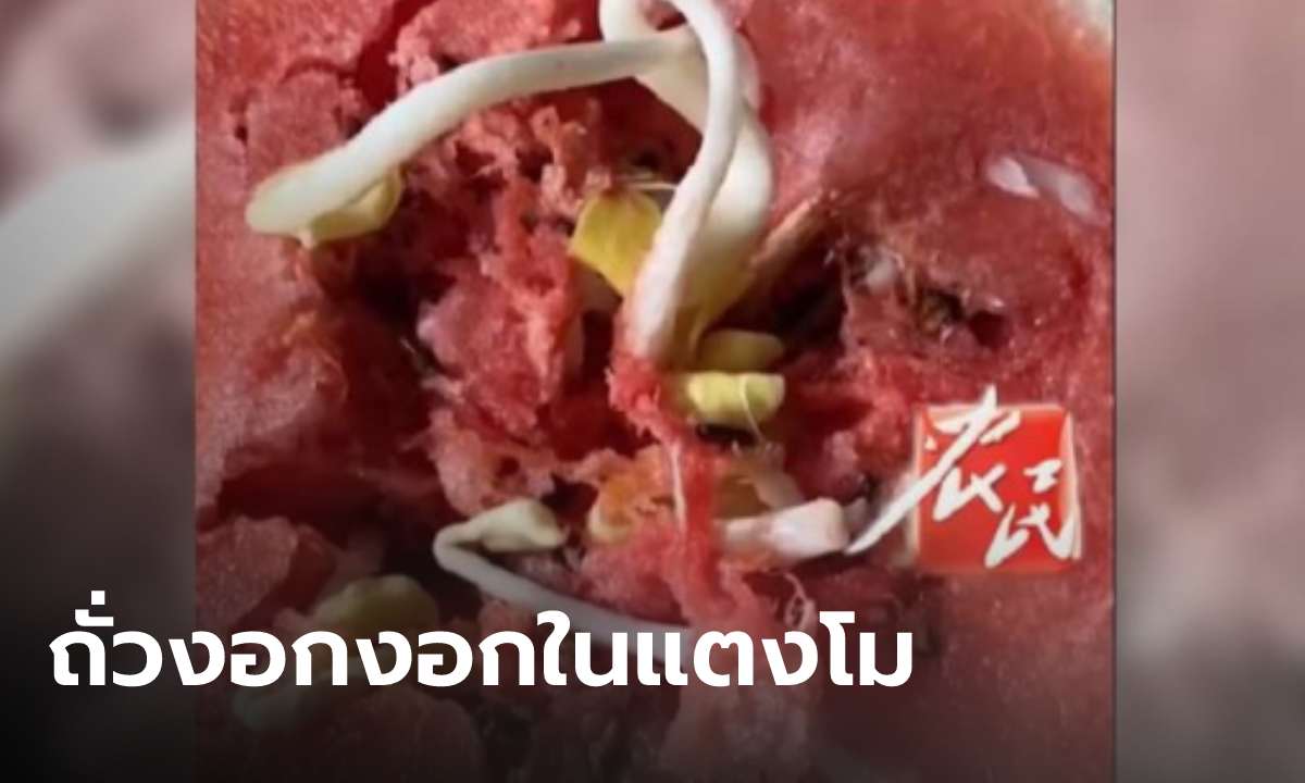 ตะลึง! สาวจะกิน "แตงโม" แต่ผ่าเจอ "ถั่วงอก" ขาวอวบเต็มลูก แบบนี้ต้องเรียกผลไม้หรือผัก?