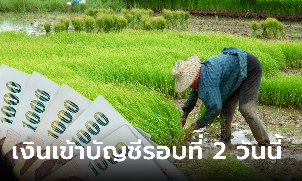 แจกเงินช่วยเหลือชาวนาไร่ละ 1,000 บาท งวดที่ 2 โอนเข้าวันนี้