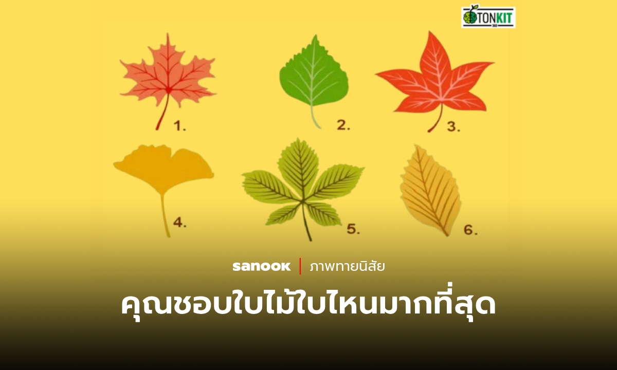 ภาพทายนิสัย ใบไม้ที่ร่วงหล่น คุณชอบใบไม้ใบไหนมากที่สุด