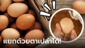 รู้ปุ๊บง่ายเลย! วิธีแยกแยะไข่เก่า-ไข่ใหม่ มองด้วยตาเปล่าก็รู้ทันที