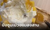 ช็อก กินบิงซูร้านดังเจอแมลงสาบทั้งตัว ลูกค้าขอเงินคืน ร้านยังหักเซอร์วิสชาร์จ