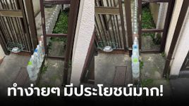 คนไทยก็ควรทำ! คนญี่ปุ่นไขข้อข้องใจ เรียงขวดน้ำหน้าบ้าน ทำเพื่อป้องกันอะไร?