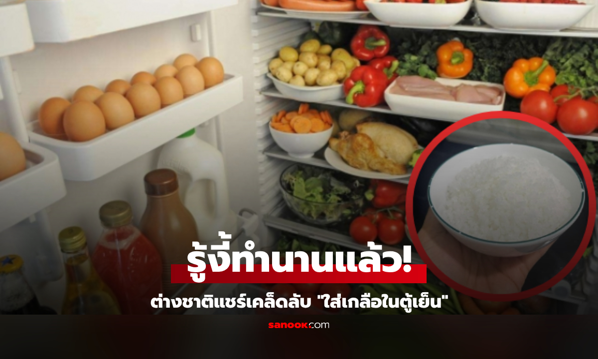 ต่างชาติแชร์เคล็ดลับ "ใส่เกลือในตู้เย็น" ไม่ได้ช่วยแค่เรื่องกลิ่น แต่มีประโยชน์มากกว่านั้น!