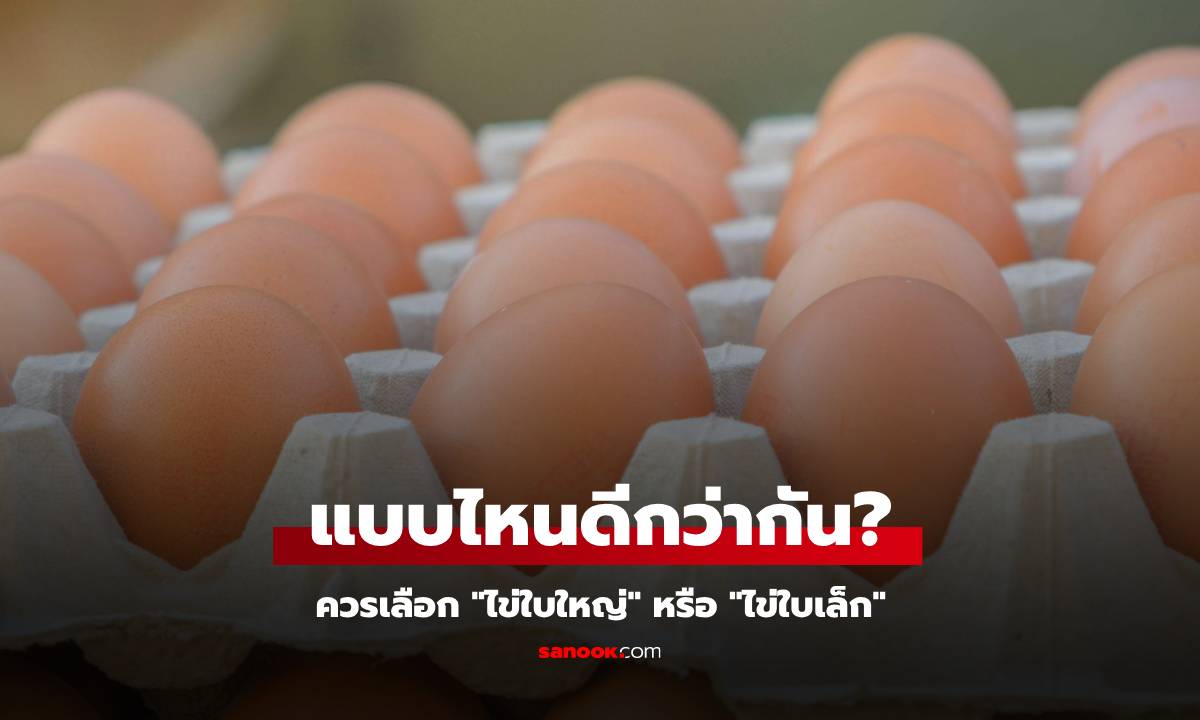 ไข่ใบใหญ่หรือไข่ใบเล็ก แบบไหนดีต่อสุขภาพมากกว่า? เกษตรกรเผยเรื่องน่าประหลาดใจ