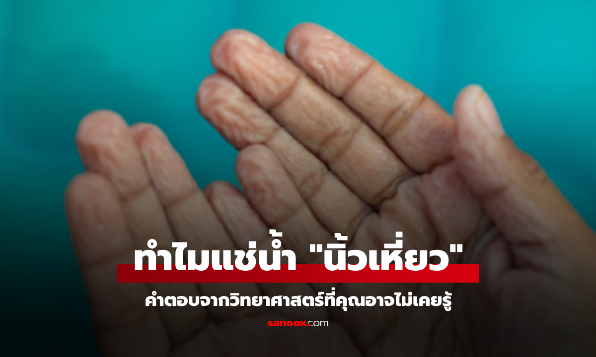 เฉลยแล้ว! ทำไมนิ้วมือถึงเหี่ยวย่นเมื่อแช่น้ำนานๆ คำตอบจากวิทยาศาสตร์ที่คุณอาจไม่เคยรู้