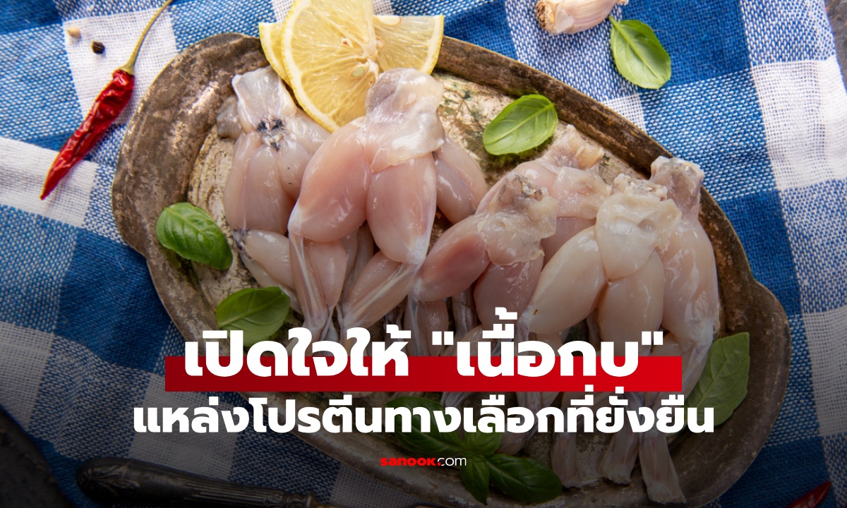 ลองเปิดใจ "เนื้อกบ" แหล่งโปรตีนทางเลือกที่ยั่งยืน ประโยชน์น่าทึ่ง เมืองนอกนิยมมาก