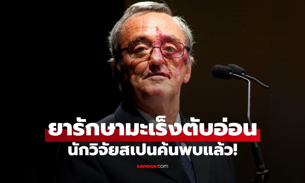 ข่าวดีของโลก! ทีมวิจัยสเปนค้นพบสูตรยารักษา "มะเร็งตับอ่อน" สำเร็จในหนูทดลอง