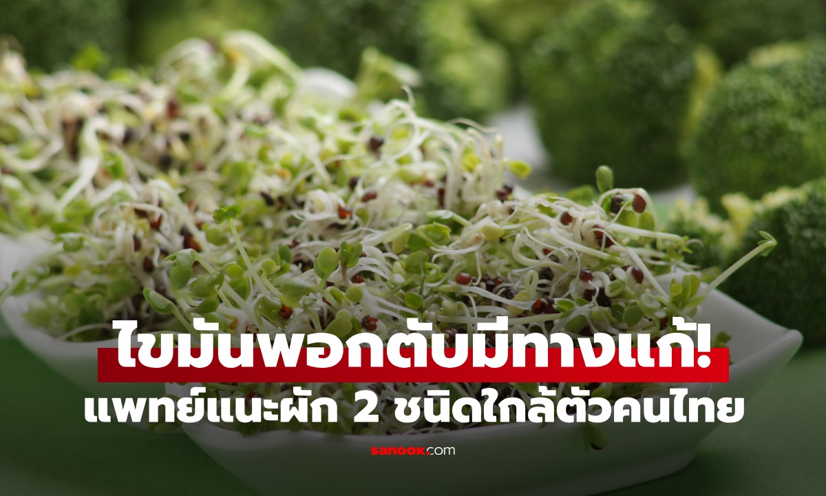 ไขมันพอกตับมีทางแก้! แพทย์แนะ “ผัก 2 ชนิด” ที่ไทยมี กินสดกำมือเดียว ดีขึ้น 50 เท่า
