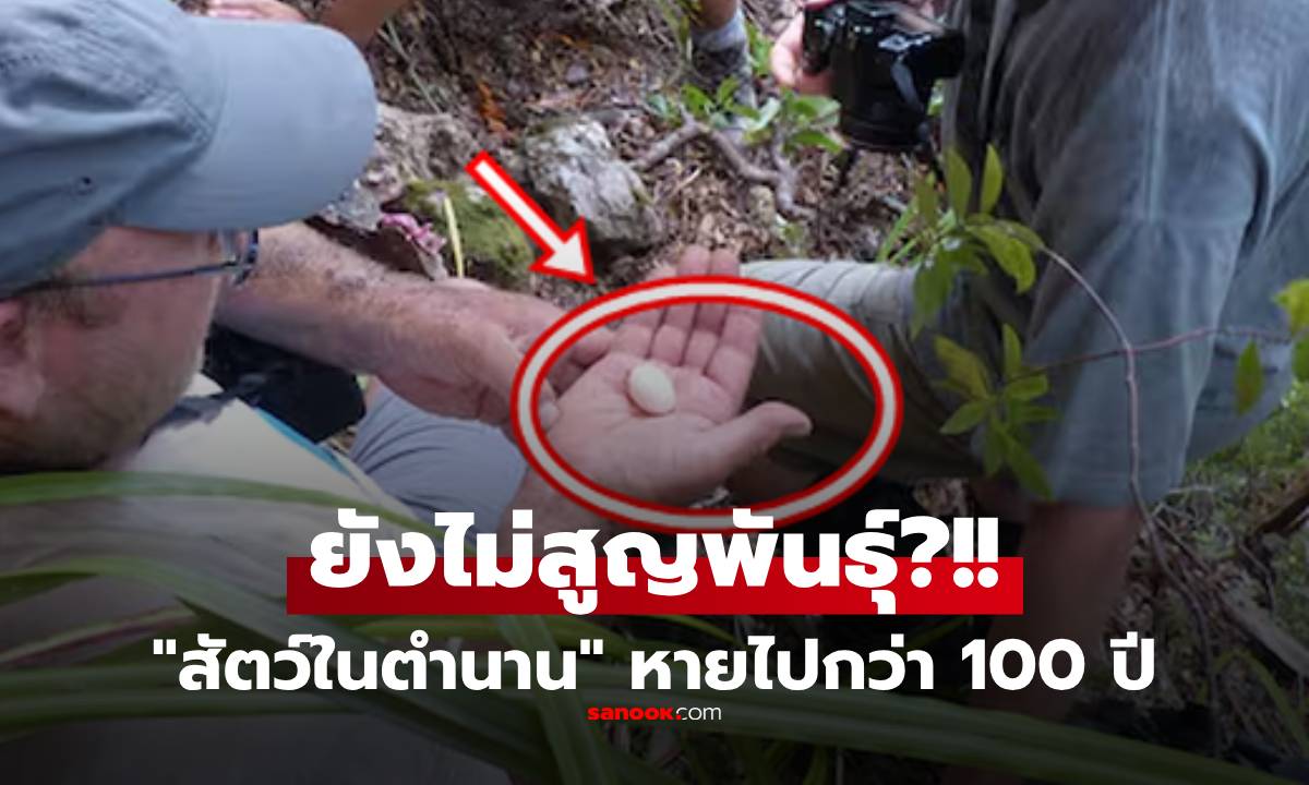 โลกตะลึง "สัตว์ในตำนาน" เชื่อสูญพันธุ์ไป 100 ปี  แต่จู่ๆ ปรากฏตัวผ่านไข่ใบเล็กๆ