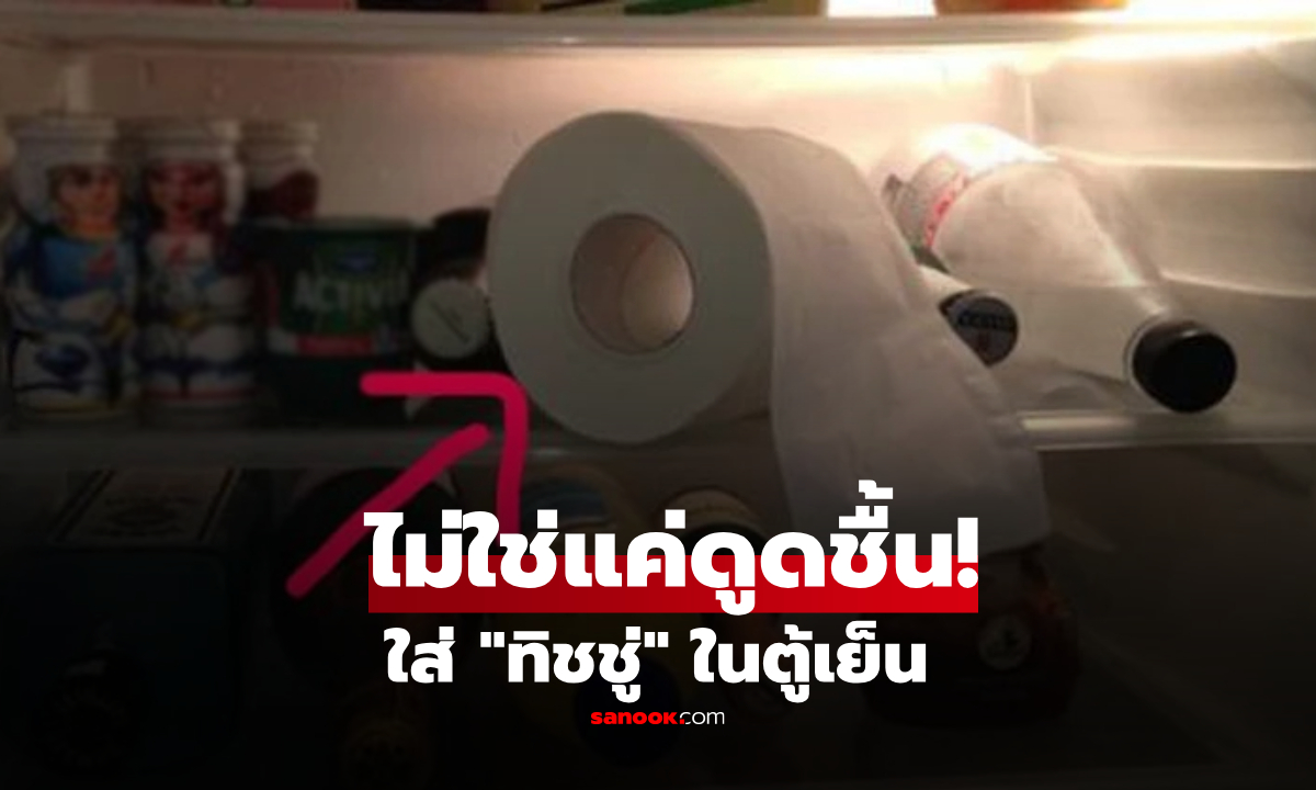 ทำไมต้องใส่ "ทิชชู่" ในตู้เย็น? ไม่ใช่แค่ดูดความชื้น แต่มีประโยชน์กว่านั้น!