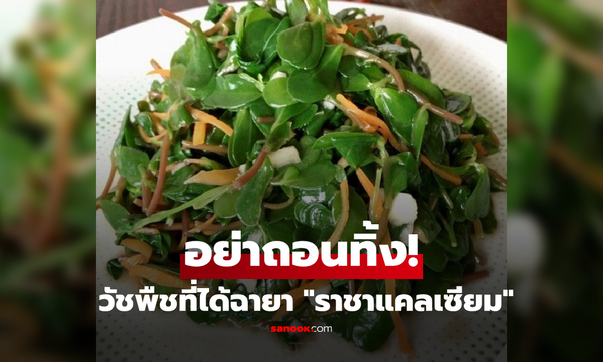 อย่ามองเป็นวัชพืช! เผยโฉม "ผักอายุยืน" ราชาแคลเซียม-โอเมก้าแน่น เก็บได้ฟรีรอบบ้าน