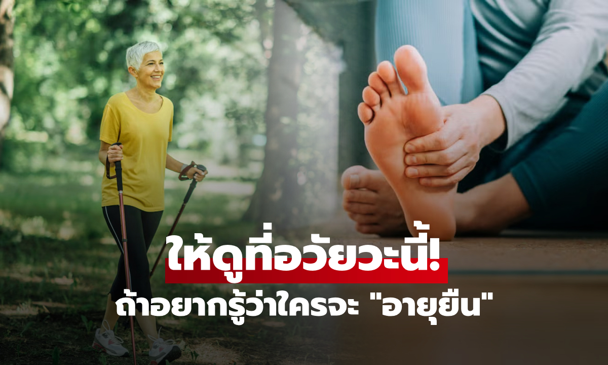 ใครจะ "อายุยืน" ให้ดูที่อวัยวะนี้! หมอชี้จุดที่ถูกมองข้าม แต่คือหัวใจของการอยู่ยาว 100 ปี
