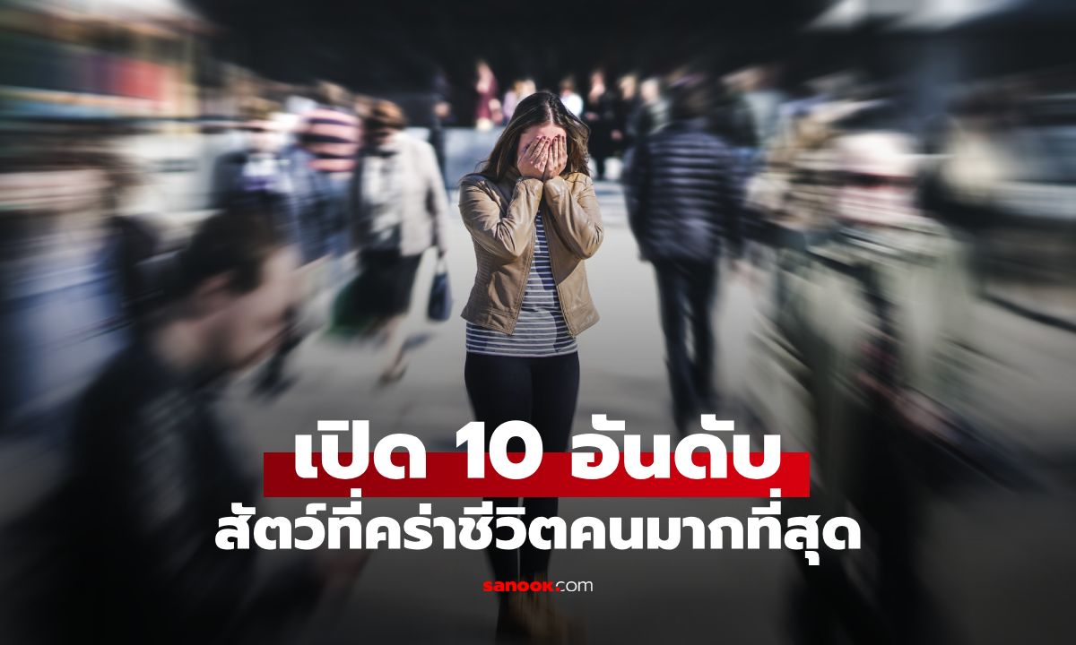10 อันดับ "สัตว์ที่ฆ่ามนุษย์มากที่สุด" เผยตัวเลขสุดช็อก! อยู่ใกล้ตัวมากกว่าที่คิด