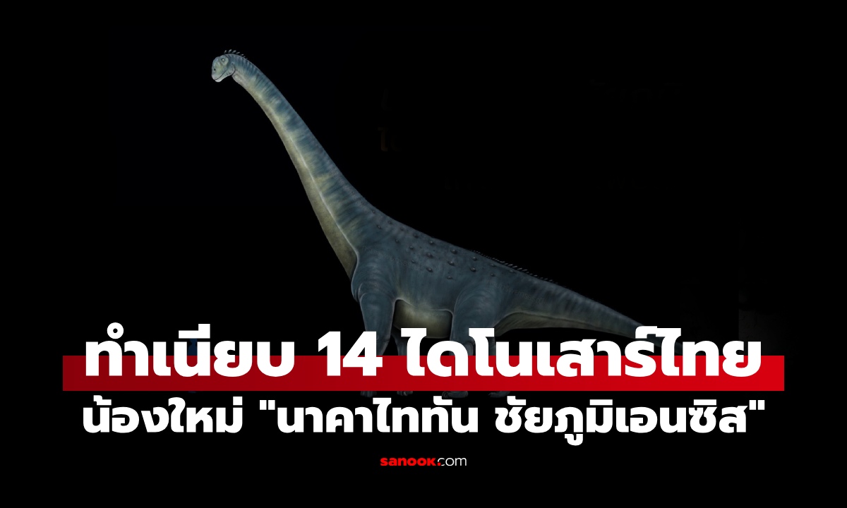 ทำเนียบ 14 ไดโนเสาร์ไทย น้องใหม่ "นาคาไททัน ชัยภูมิเอนซิส" ใหญ่สุดที่เคยพบ