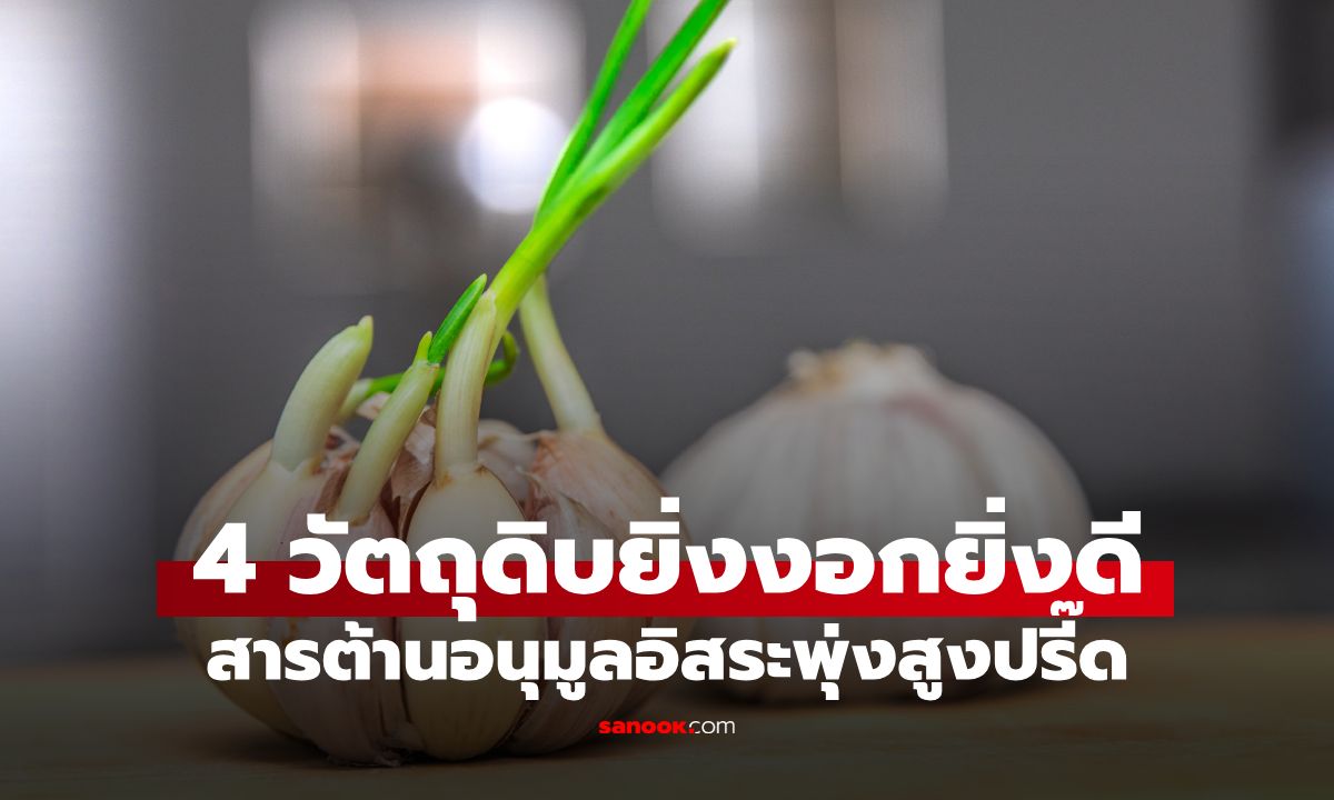 เช็กก่อนโยนทิ้ง! เผย 4 วัตถุดิบก้นครัว ยิ่งงอกยิ่งดี สารต้านอนุมูลอิสระพุ่งสูงปรี๊ด