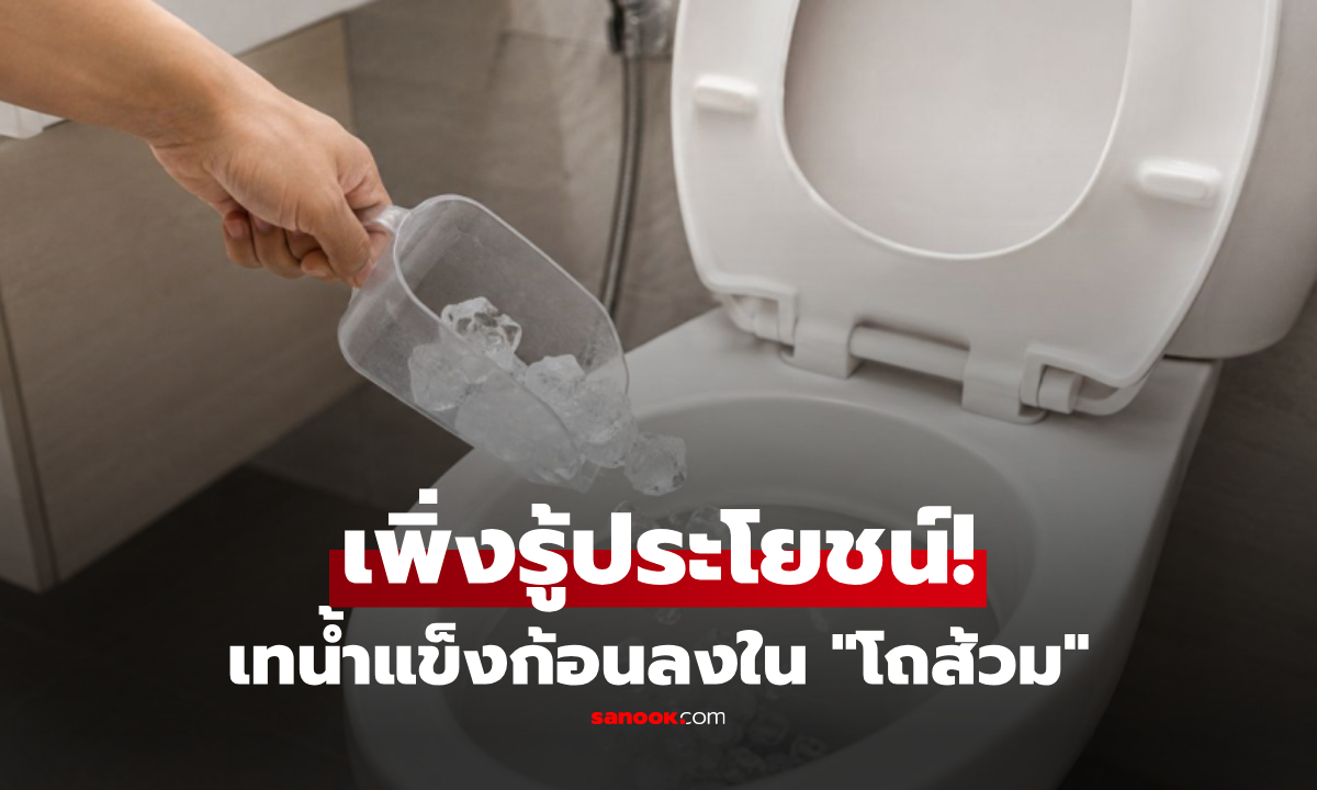 ทำไม พนง.โรงแรม-ร้านอาหาร ชอบเทน้ำแข็งลงส้วม? เผยประโยชน์ลับที่ทุกบ้านควรรู้!