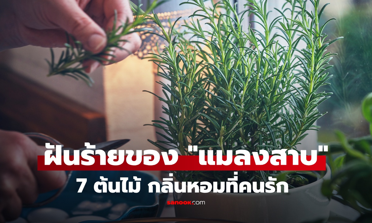 7 ต้นไม้กลิ่นหอมที่คนรัก แต่เป็นฝันร้ายของ "แมลงสาบ" บ้านไหนโดนบุกปลูกเลย!