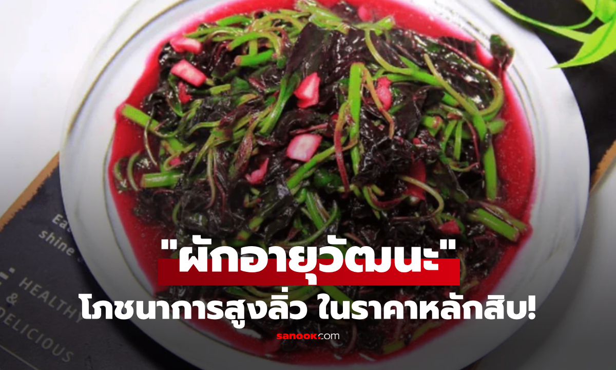 คนไทยอย่าเมิน!  "ผักอายุวัฒนะ" ราคาแค่หลักสิบ แต่ตำราจีนยกย่อง เคลียร์ลำไส้-บำรุงเลือด