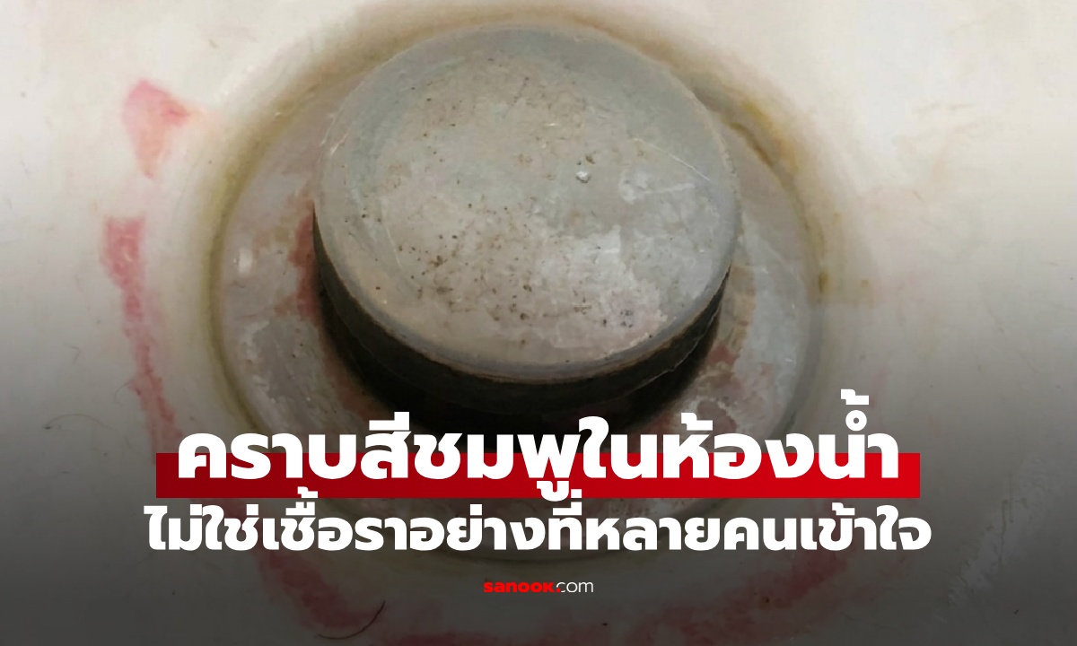 คราบสีชมพูในห้องน้ำ คืออะไร? แท้จริงแล้วไม่ใช่เชื้อรา ถ้าเจอให้รีบกำจัดออก