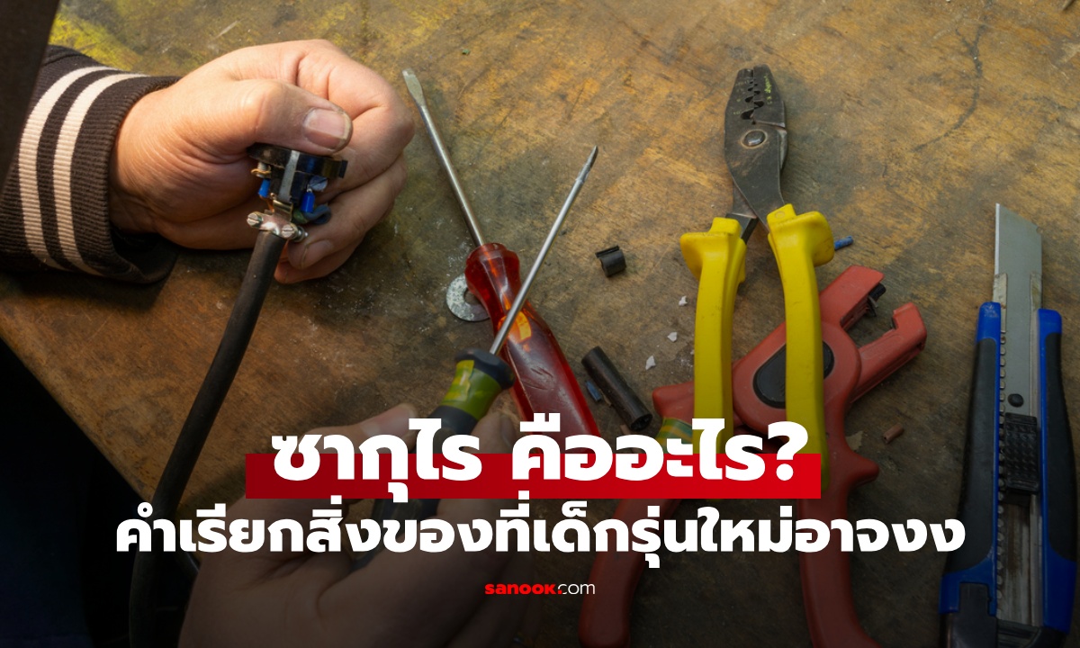 “ซากุไร” คืออะไร? ไม่ใช่ภาษาญี่ปุ่น คำเรียกติดปากของรุ่นพ่อแม่ เด็กรุ่นใหม่อาจจะงง