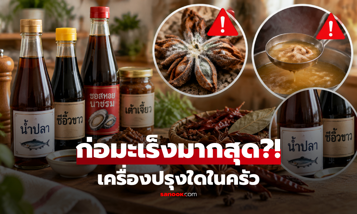 ชนิดไหนเสี่ยงมะเร็งที่สุด? เปิดความจริง "เครื่องปรุง" ที่หลายคนอาจใช้ผิดวิธี!