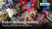 “ภาวะการเรียนรู้ถดถอย” ภัยเงียบที่กำลังกัดเซาะสังคม