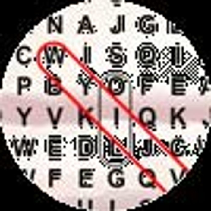 Word Search