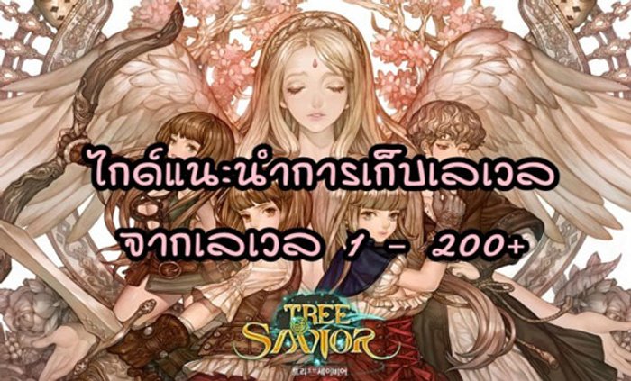 Tree of Savior ไกด์แนะนำการเก็บเลเวลตั้งแต่เลเวล 1 - 200 อัพ จากมือใหม่ สู่เทพแห่งโลกต้นไม้