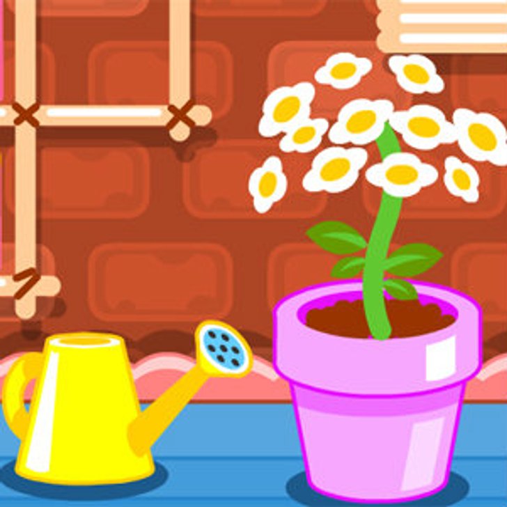 cute flower studio
