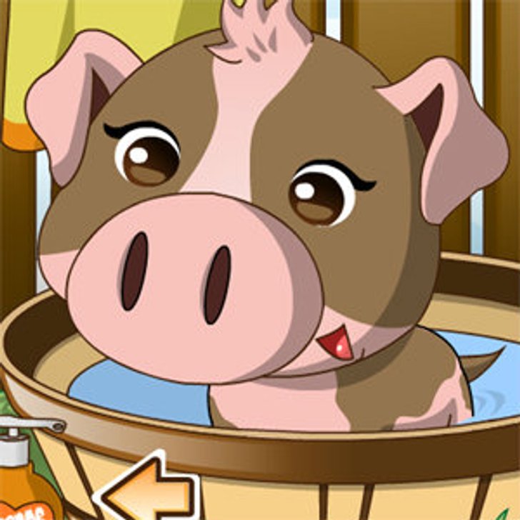 Pet Piggy