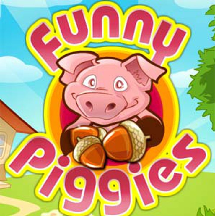 funny piggies