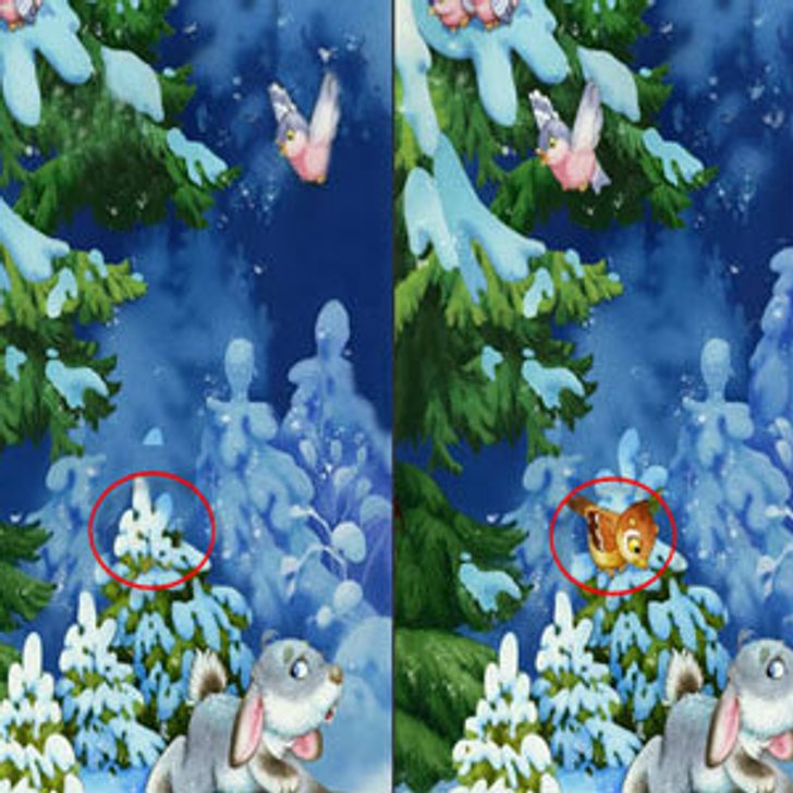เกมส์จับผิดคืนแห่งความหนาว