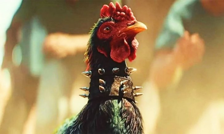 PETA เรียกร้องให้ Far Cry 6 ถอดมินิเกมไก่ชนออก