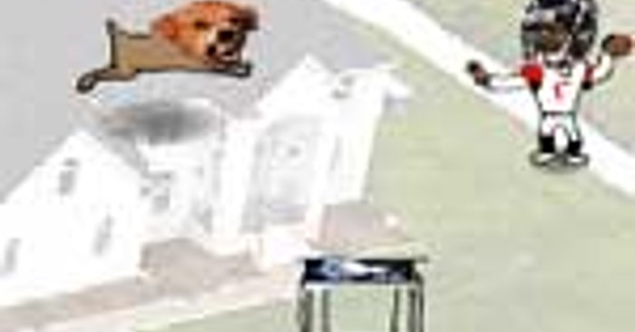 Michael Vick Dog Fight Game