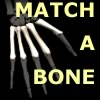 เกมส์จับคู่ Match-A-Bone