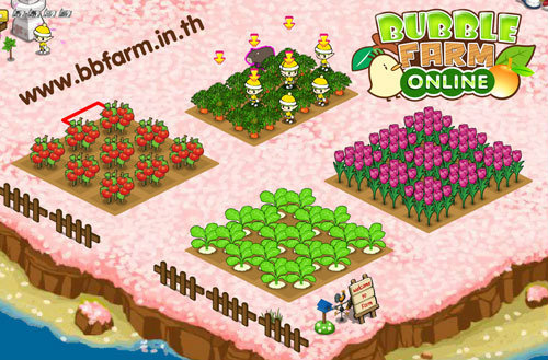 Bubble Farm Online