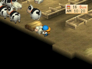 harvest moon