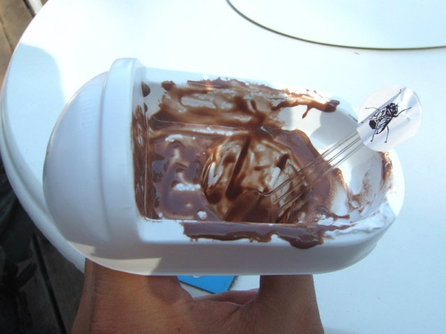 ไอศกรีมอุนจิ