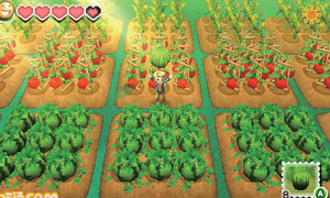 เกมส์ปลูกผัก Harvest Moon: Linking the New World