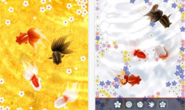 Goldfish Pond แอพเกมเลี้ยงปลาทอง แจกฟรี! รีบหน่อยเวลาจำกัด